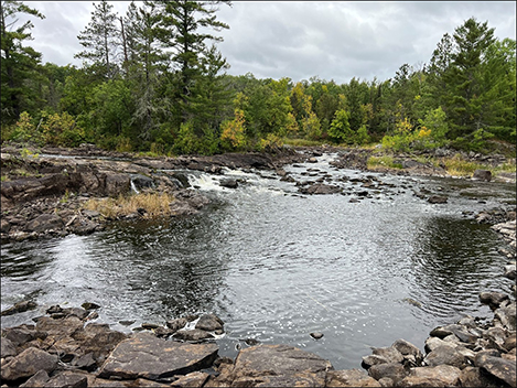 Wandering Into the Wilds of Minnesota