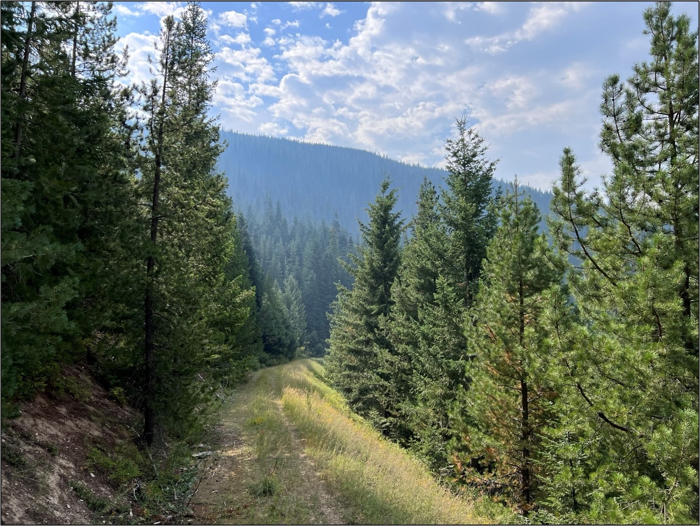 Just One More Trail!